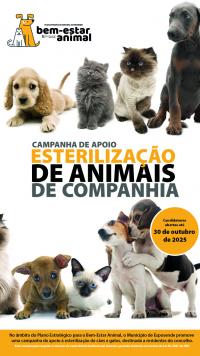 Esterilizao de Animais de Companhia