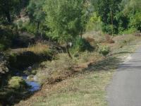 Limpeza do ribeiro da Laginha - Galegos