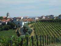Vista Parcial de Celeir�s do Douro  Aldeia Vinhateira e Patrim�nio da Humanidade